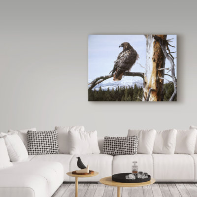 Etelca 'Red Tailed Hawk' Graphic Art Print on Wrapped Canvas