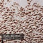 Rideau de douche rose en marbre rose brillant avec 12 crochets-1647778656