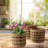 3 Piece Striped Plant Wicker Baskets