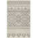 Wynn Southwestern Beige/Silver Rug