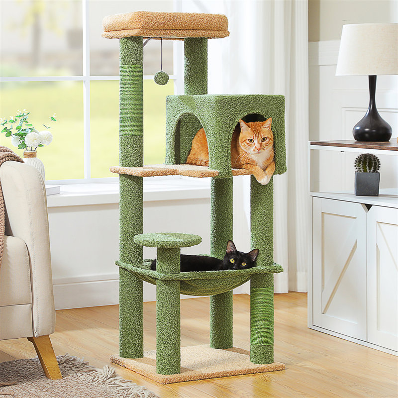 Arbre à chat, Vert