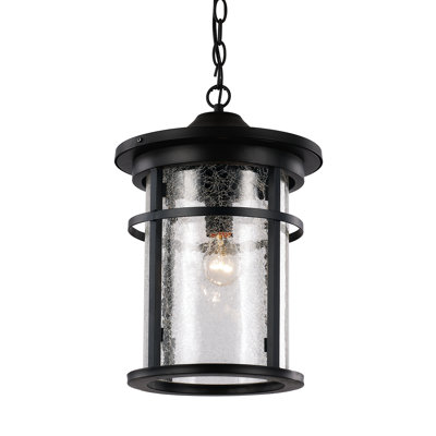 Lanterne suspendue d'extérieur 1 lumière Thorton