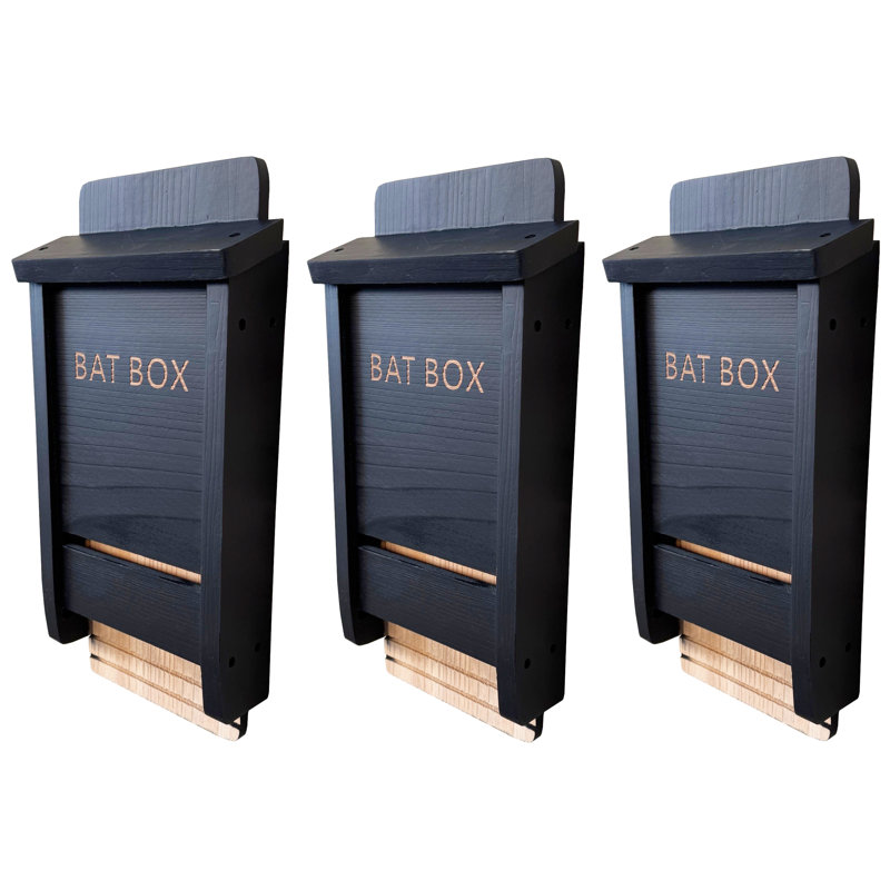 Black Wooden Bat Nesting Roosting Box House (set Of 3)