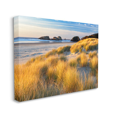 Au-548-Canvas " Beach Grasses Summer Shoreline " by Dennis Frates