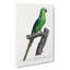 The Rose-Ringed Parakeet by F. Levaillant - Wrapped Canvas-55358704
