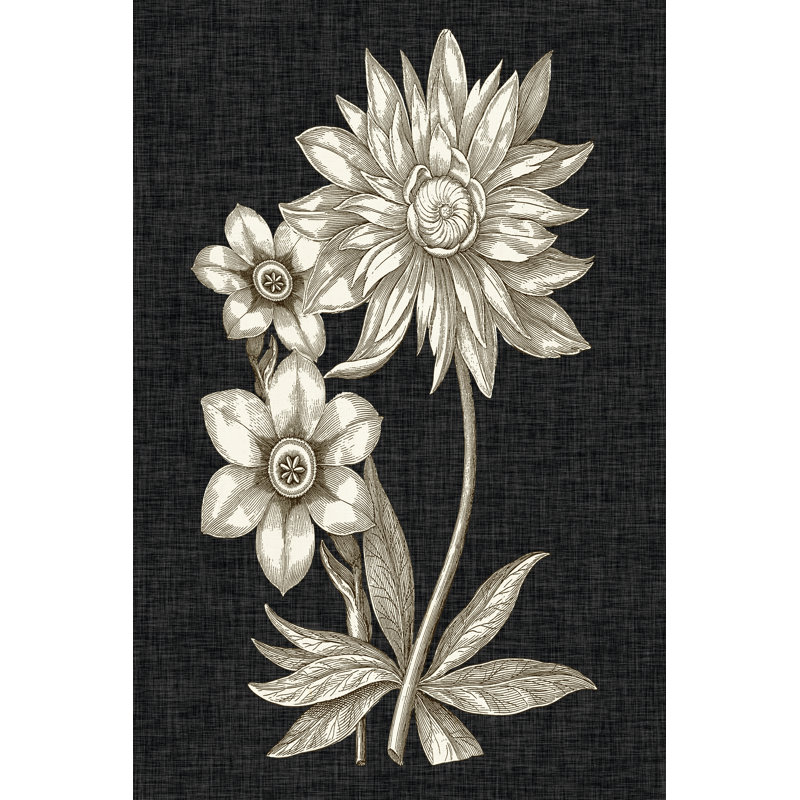 Dramatic Chintz I by Vision Studio - Wrapped Canvas Print, 46cm H x 30cm W