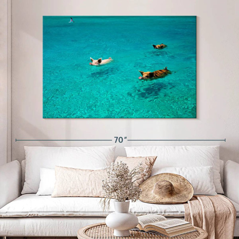 Porcs Brampt à Exuma Cays, H 34 po x l 51 po