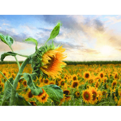 «Sunflower Sunrise» par Lori Deiter - reproduction d'art sur toile tendue
