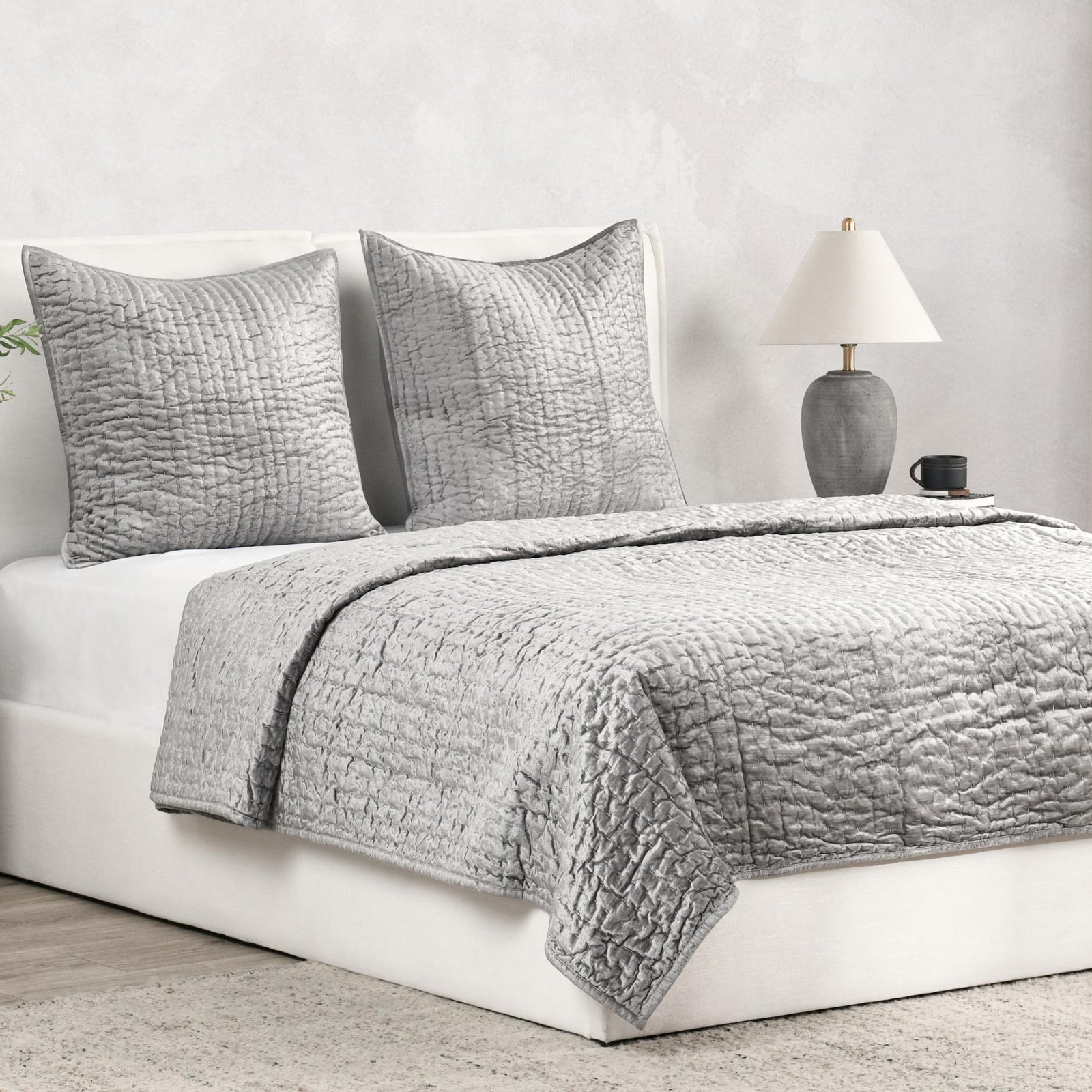 Lucio Shams, Euro, Gray