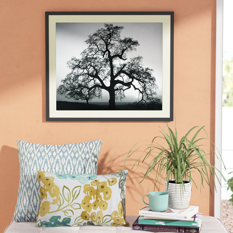 «Oak Tree, Sunset City, California, 1960» par Ansel Adams - Reproduction d'art graphique sur papier encadré, Noir mat / blanc