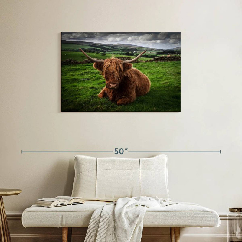 Brampt Mellow Highland Cow, 24" H x 36" W