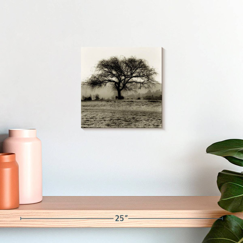 Harnek Black Willow Tree, 10" H x 10" W