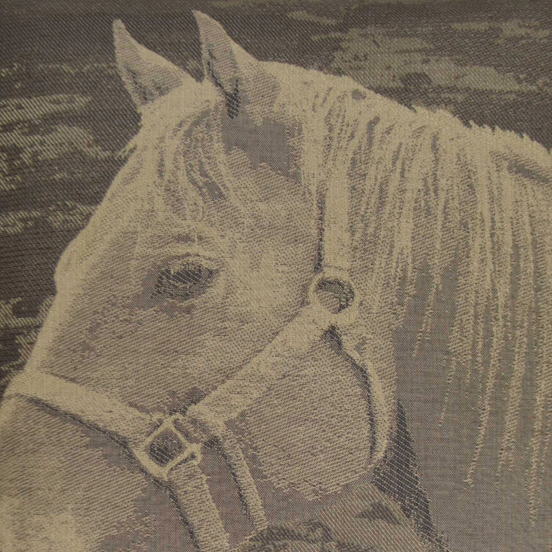 Tissu Mister Ed, Brun