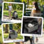 Foldable Pet