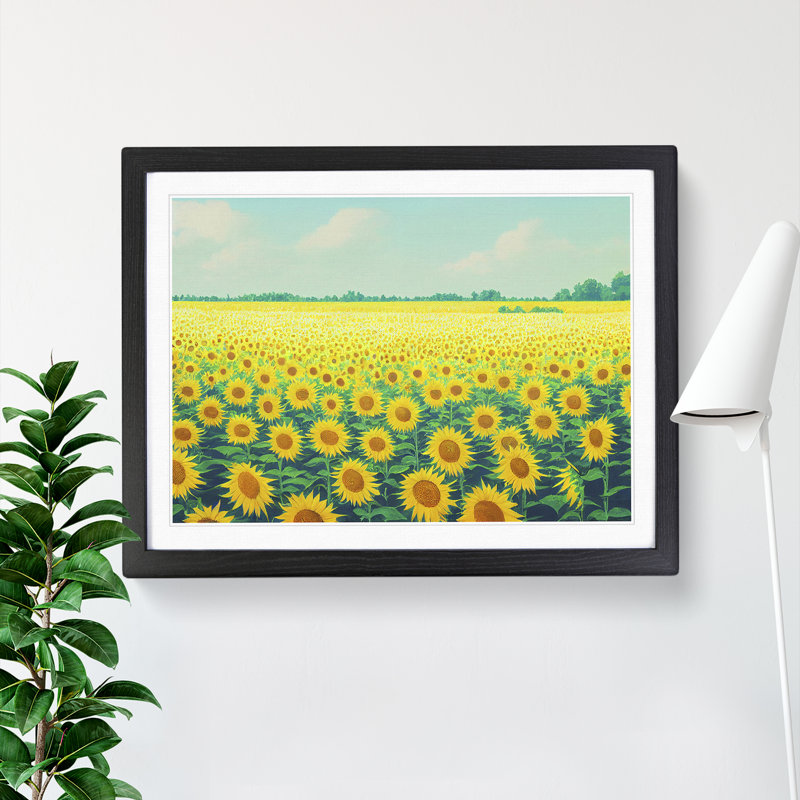 Fine Sunflower Field - Single Picture Frame Painting, Black, 46cm H x 64cm W x 2cm D