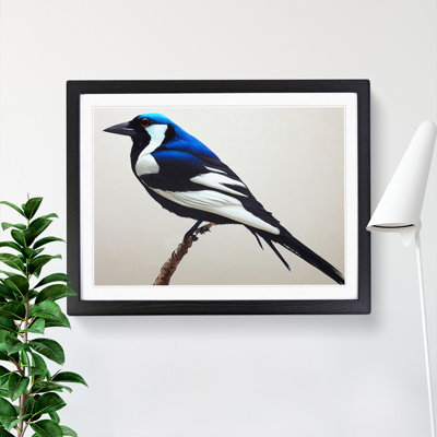 Astonishing Magpie Bird - Picture Frame Graphic Art