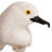 Radium Birds Statue
