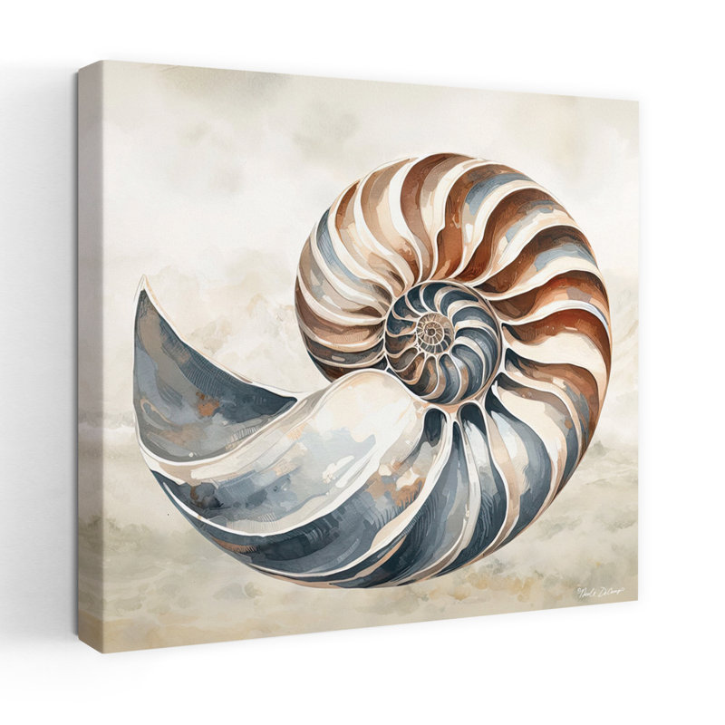 Cape Coast Shell Art côtier, H 18 po x l 18 po