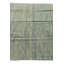 Tapis vert Noe