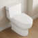 Toilette allongée une pièce Concord, toilette brute blanche 12 po avec siège Comofrt ADA (siège inclus)