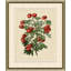 Wilts Red Berries III Print