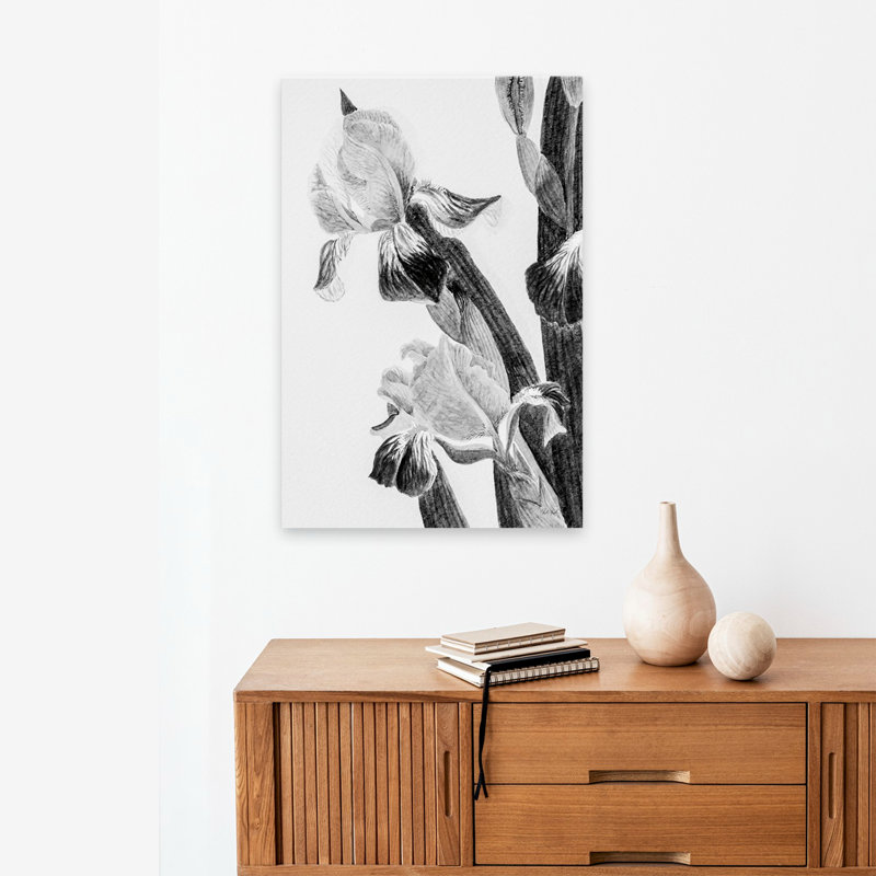 Minimalist Illustrated Iris II, 24" H x 16" W