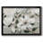 " Southern Charm "-1458917439-1458917437