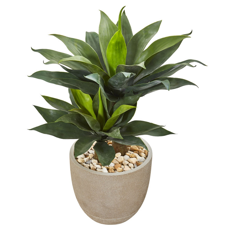 Double Agave Artificial Plant in Sandstone Planter