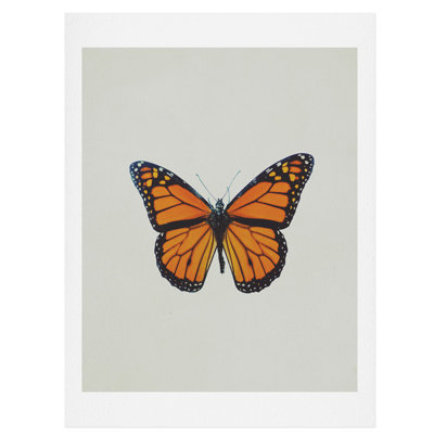 " The Queen Butterfly " by Chelsea Victoria