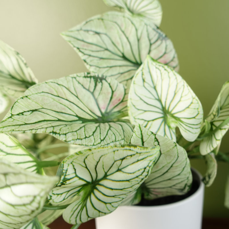 Foliage Plants 30cm Faux Plant in Planter