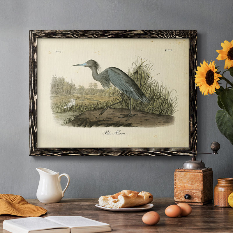 Audubons Blue Heron, reproduction d'art sur toile, Noir, H 28 po x l 42 po x P 1,5 po