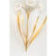 Porcelain Flowers