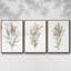 3 pièces Dicat Botanical I-97757800-97757801
