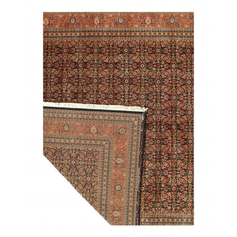 Saline Oriental Area Rug in Blue