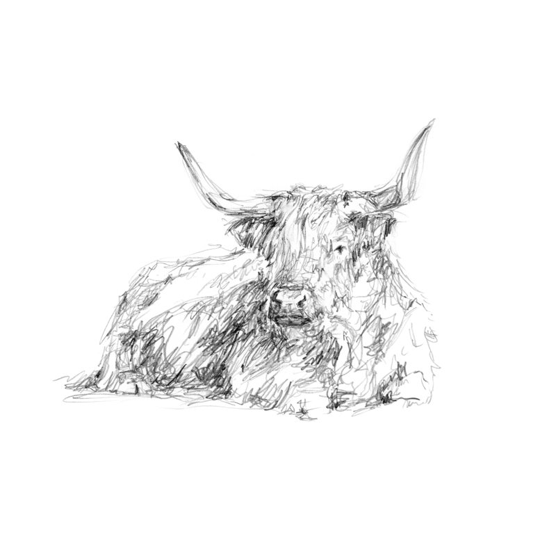Reproduction sur toile tendue Highland, H 24 po x l 36 po
