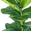 4-Foot Fig in Basket Stand