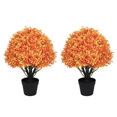 Arbre en pot 24 po