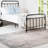 Indoor Rug-2136917676