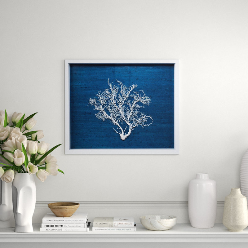 Sealife Print