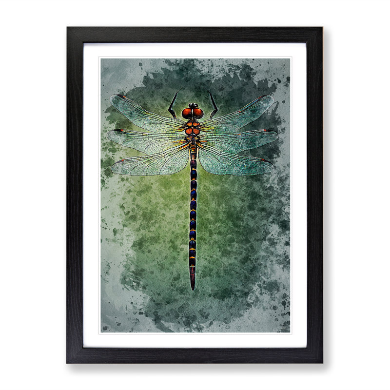 XV1022-5113X Watercolour Dragonfly No.2 - Single Picture Frame Painting, Black, 64cm H x 46cm W x 2cm D