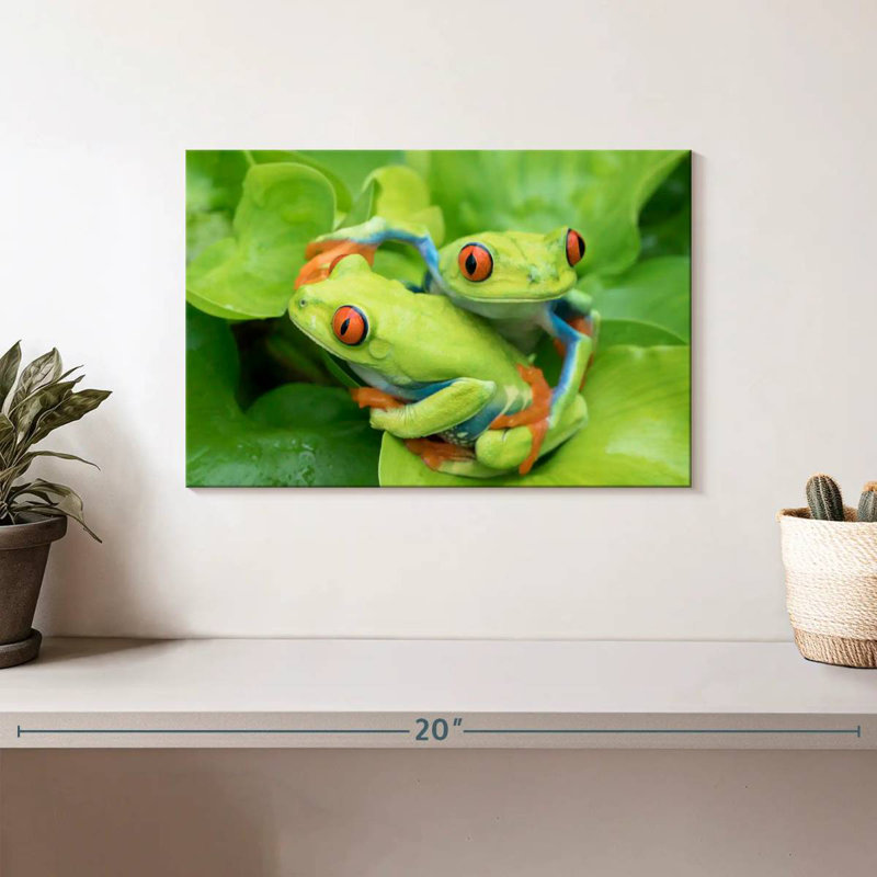 Grenouilles dans une étreinte, H 8 po x l 12 po