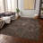 Chayil Machine Washable Indoor/Outdoor Rug-109483872