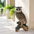 Owl Garden Statue with Branch Base