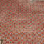 Distressed Homage Hand Knotted Wool Area Rug-204867643