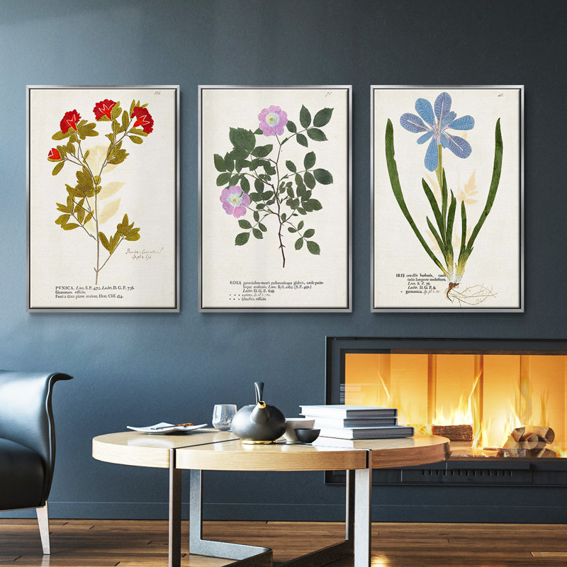 Nature imprimé Botanicals V - ensemble de 3 reproductions sur toile, Argent, H 36 po x l 72 po
