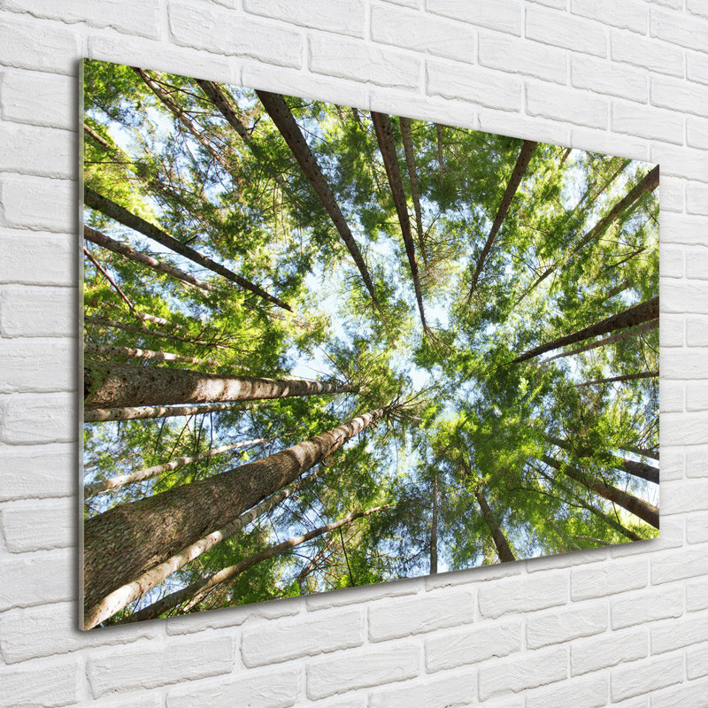 Crown of trees 1 Piece Wall Art on Glass