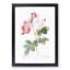 Damask Roses in Pink by Pierre-Joseph Redoute - Picture Frame Painting Print-55491076-55491075