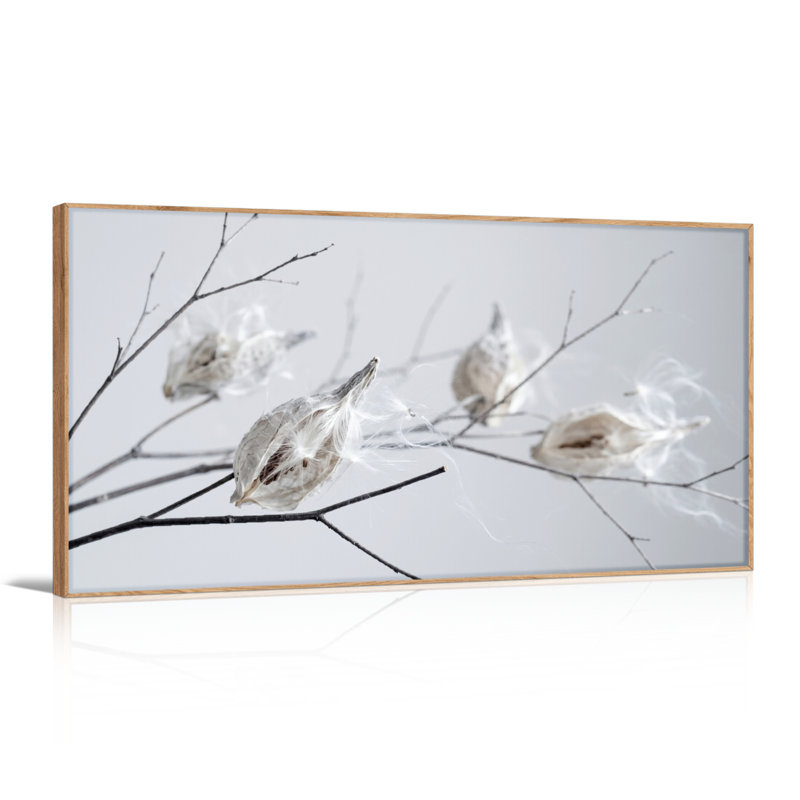 Ensemble de 1 tableau sur toile Dry Pods, L 58 po x H 28 po, Naturel