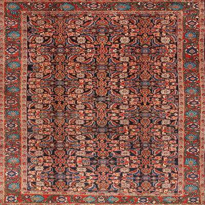 Oriental Indoor Rug