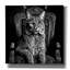  «King Lynx» par Decent Exposures, art mural sur toile, 37 po x 37 po-792734326